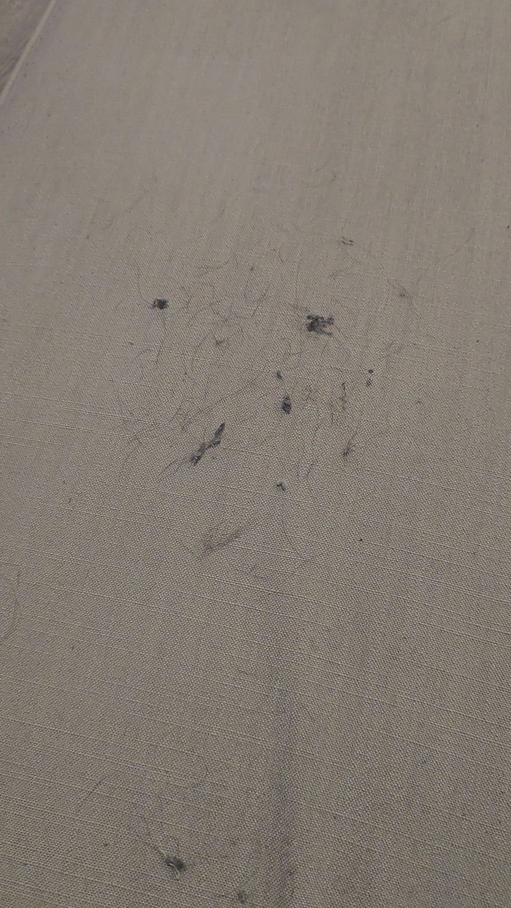 Pro Washable Lint Roller