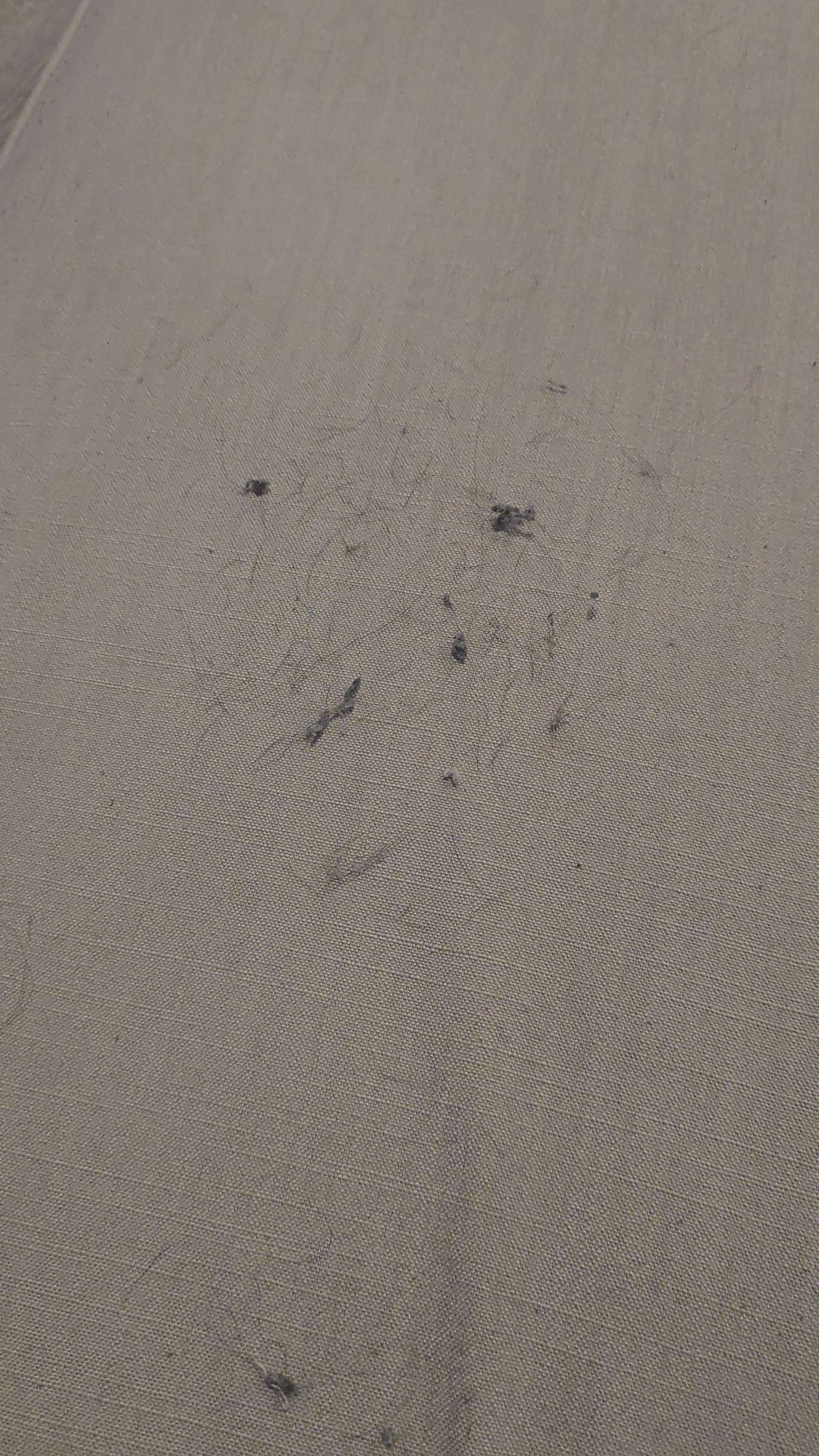 Pro Washable Lint Roller